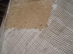 tullahemp 2450.jpg
